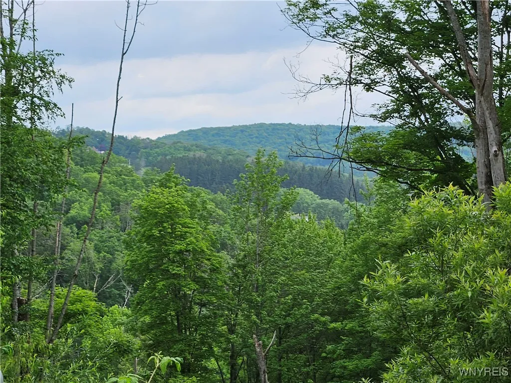 20 Fresh Tracks Way 20, Mansfield, New York 14731, Mansfield, New York 14731, ,Land,For Sale,20 Fresh Tracks Way 20, Mansfield, New York 14731,B1535933