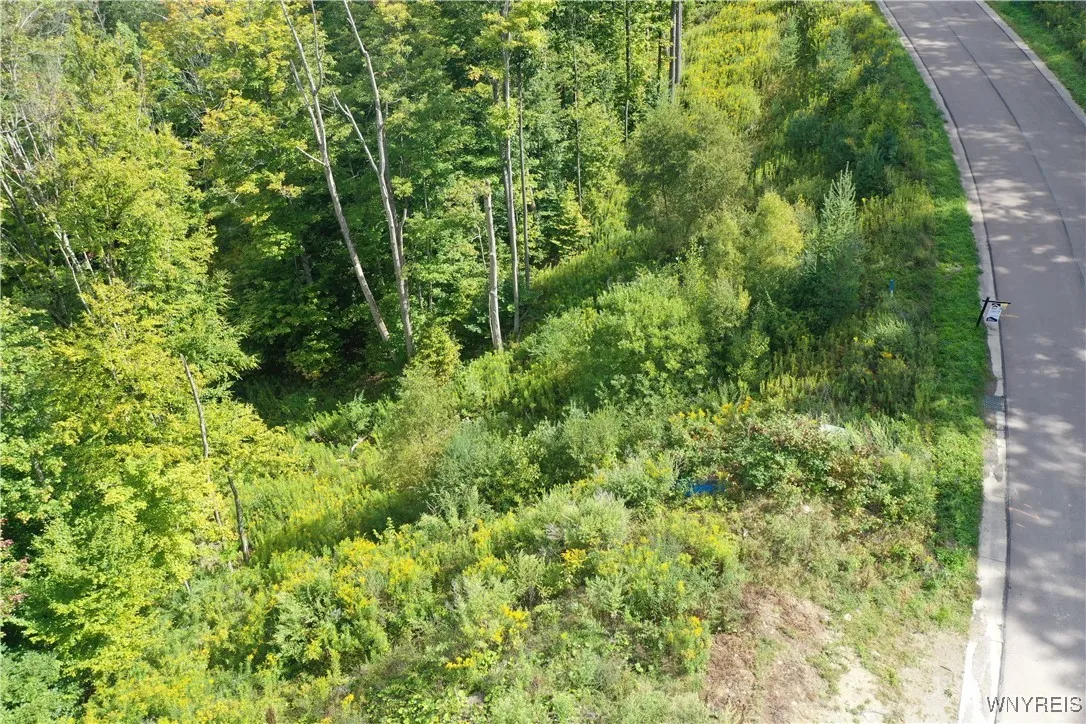 20 Fresh Tracks Way 20, Mansfield, New York 14731, Mansfield, New York 14731, ,Land,For Sale,20 Fresh Tracks Way 20, Mansfield, New York 14731,0,B1535933