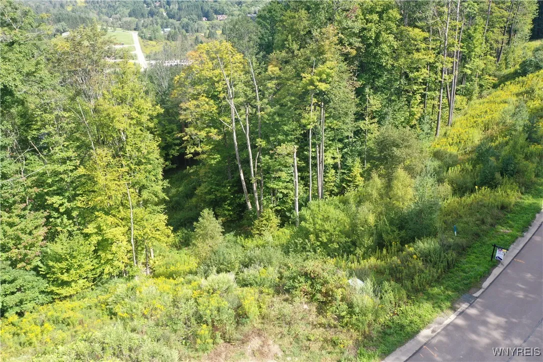 20 Fresh Tracks Way 20, Mansfield, New York 14731, Mansfield, New York 14731, ,Land,For Sale,20 Fresh Tracks Way 20, Mansfield, New York 14731,B1535933