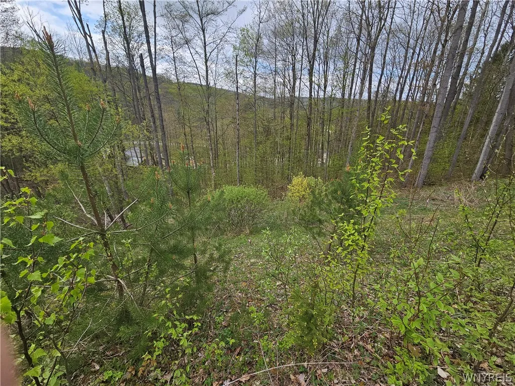 20 Fresh Tracks Way 20, Mansfield, New York 14731, Mansfield, New York 14731, ,Land,For Sale,20 Fresh Tracks Way 20, Mansfield, New York 14731,B1535933