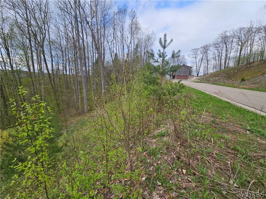 20 Fresh Tracks Way 20, Mansfield, New York 14731, Mansfield, New York 14731, ,Land,For Sale,20 Fresh Tracks Way 20, Mansfield, New York 14731,B1535933