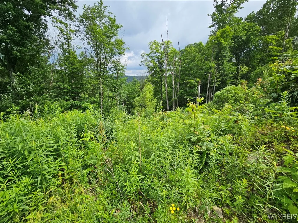 20 Fresh Tracks Way 20, Mansfield, New York 14731, Mansfield, New York 14731, ,Land,For Sale,20 Fresh Tracks Way 20, Mansfield, New York 14731,B1535933