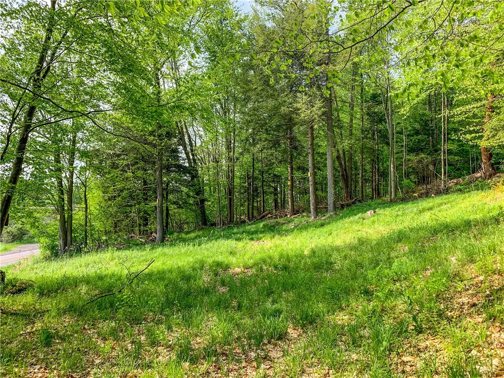 0 County Highway 44, Sidney, New York 13849, Sidney, New York 13849, ,Land,For Sale,0 County Highway 44, Sidney, New York 13849,0,R1536294