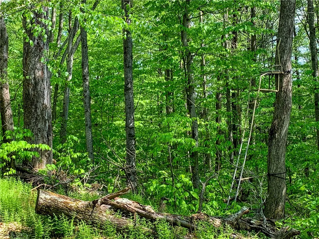 0 County Highway 44, Sidney, New York 13849, Sidney, New York 13849, ,Land,For Sale,0 County Highway 44, Sidney, New York 13849,0,R1536294