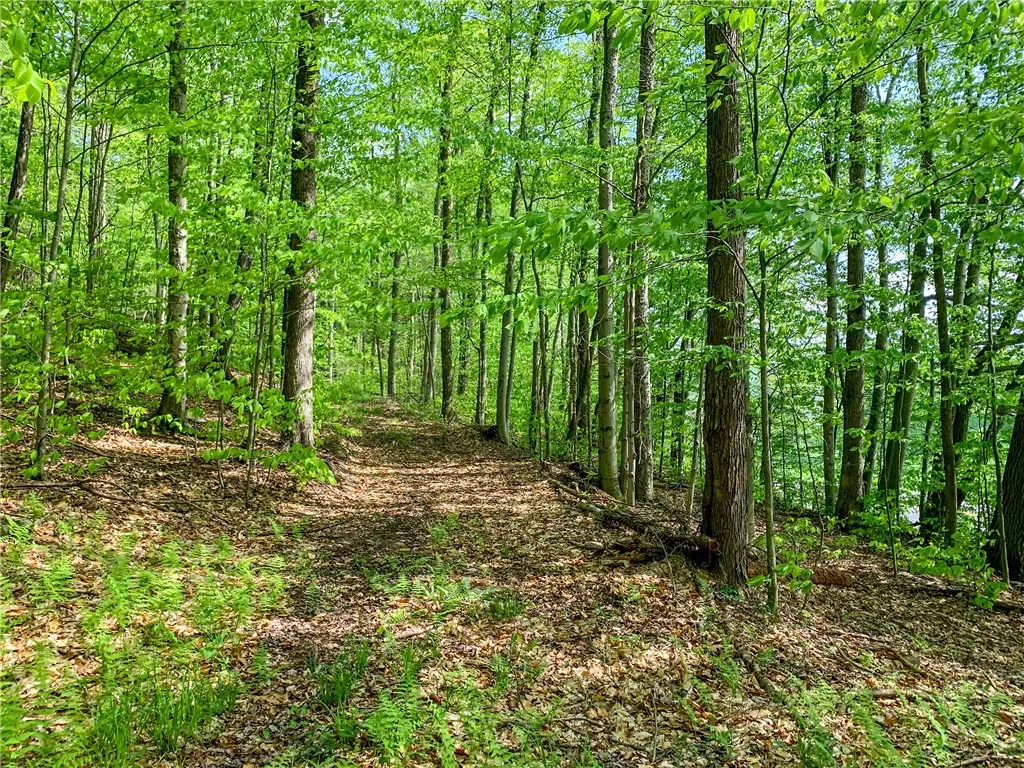 0 County Highway 44, Sidney, New York 13849, Sidney, New York 13849, ,Land,For Sale,0 County Highway 44, Sidney, New York 13849,0,R1536294