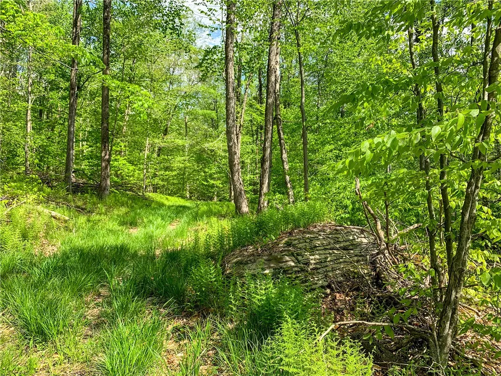 0 County Highway 44, Sidney, New York 13849, Sidney, New York 13849, ,Land,For Sale,0 County Highway 44, Sidney, New York 13849,0,R1536294