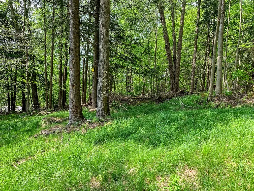 0 County Highway 44, Sidney, New York 13849, Sidney, New York 13849, ,Land,For Sale,0 County Highway 44, Sidney, New York 13849,0,R1536294