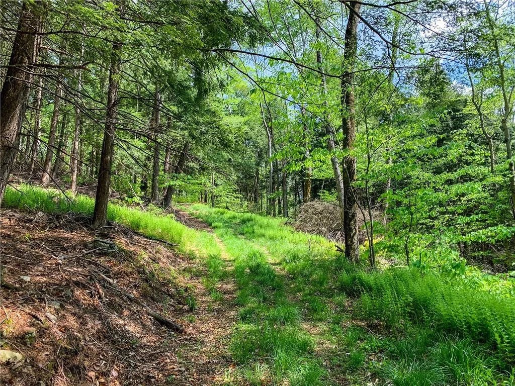 0 County Highway 44, Sidney, New York 13849, Sidney, New York 13849, ,Land,For Sale,0 County Highway 44, Sidney, New York 13849,0,R1536294