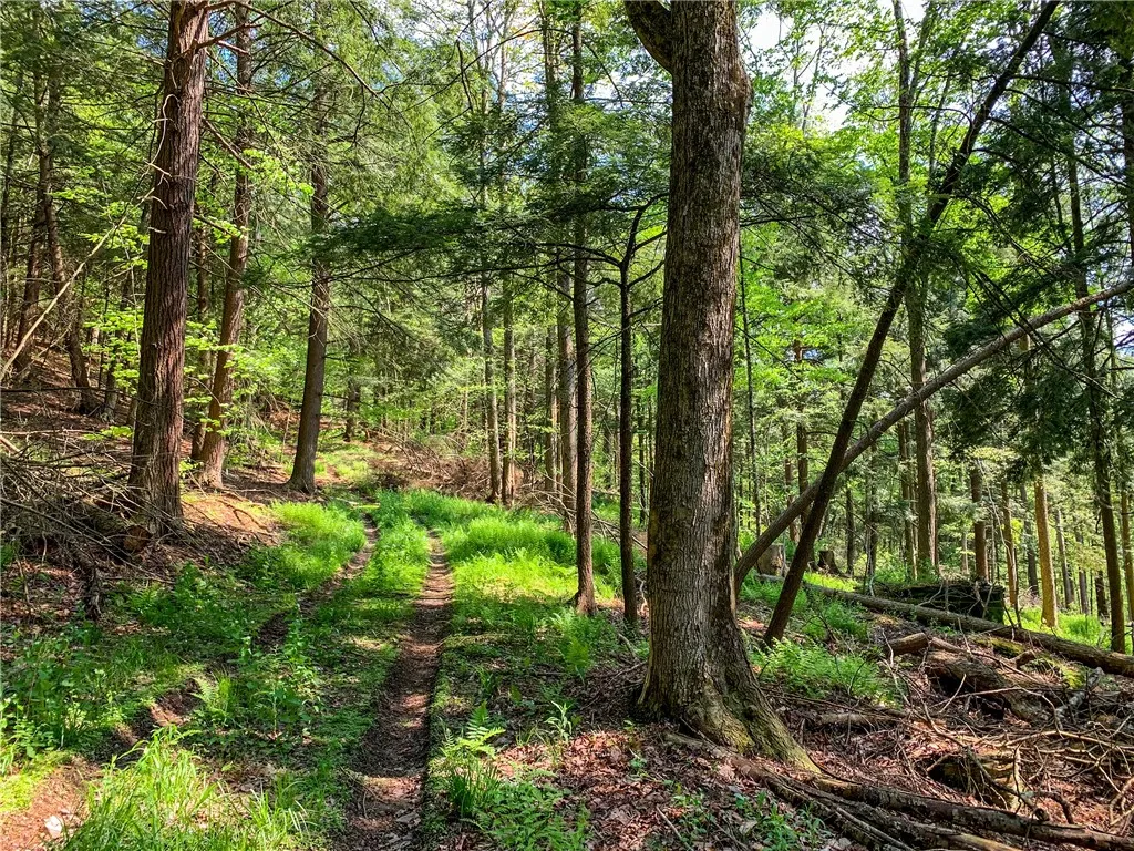 0 County Highway 44, Sidney, New York 13849, Sidney, New York 13849, ,Land,For Sale,0 County Highway 44, Sidney, New York 13849,0,R1536294