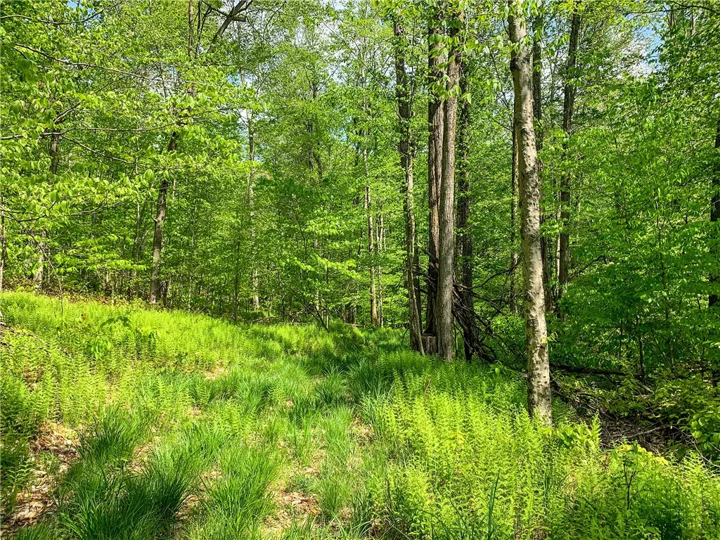 0 County Highway 44, Sidney, New York 13849, Sidney, New York 13849, ,Land,For Sale,0 County Highway 44, Sidney, New York 13849,0,R1536294