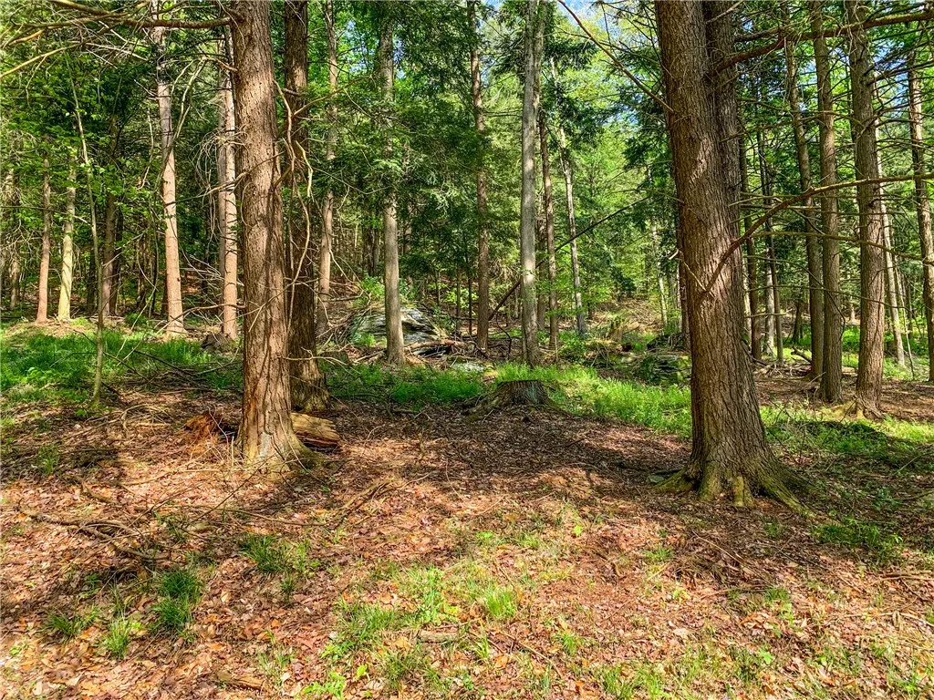 0 County Highway 44, Sidney, New York 13849, Sidney, New York 13849, ,Land,For Sale,0 County Highway 44, Sidney, New York 13849,0,R1536294