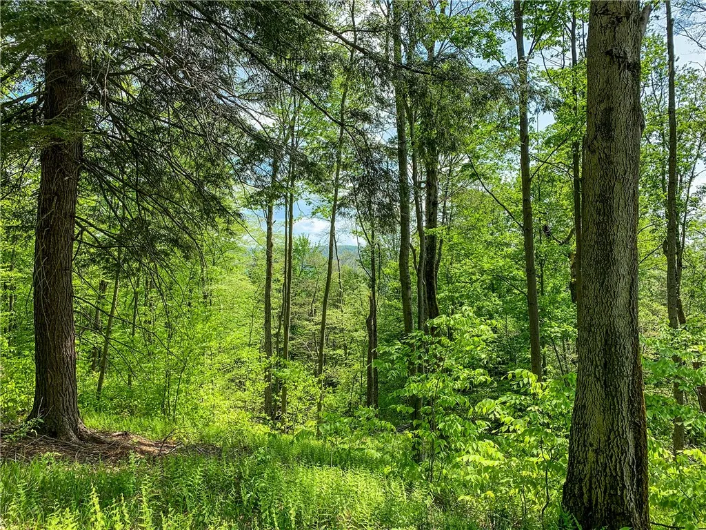 0 County Highway 44, Sidney, New York 13849, Sidney, New York 13849, ,Land,For Sale,0 County Highway 44, Sidney, New York 13849,0,R1536294