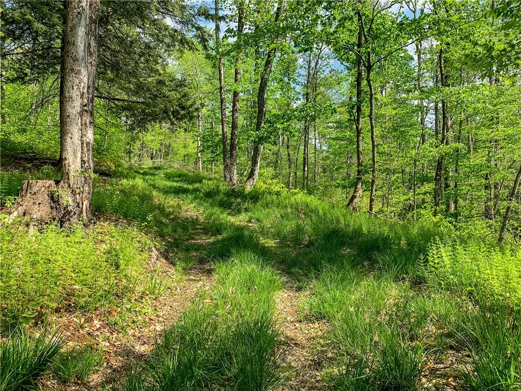0 County Highway 44, Sidney, New York 13849, Sidney, New York 13849, ,Land,For Sale,0 County Highway 44, Sidney, New York 13849,0,R1536294