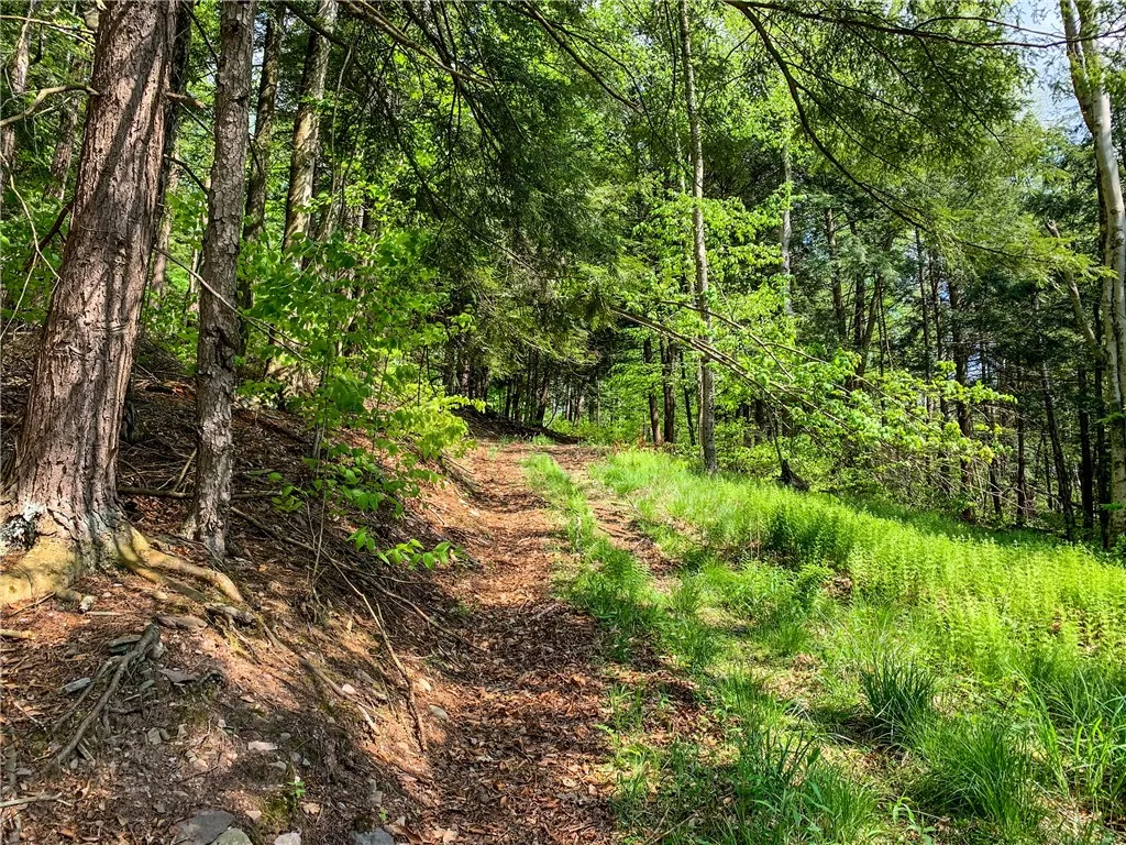 0 County Highway 44, Sidney, New York 13849, Sidney, New York 13849, ,Land,For Sale,0 County Highway 44, Sidney, New York 13849,0,R1536294