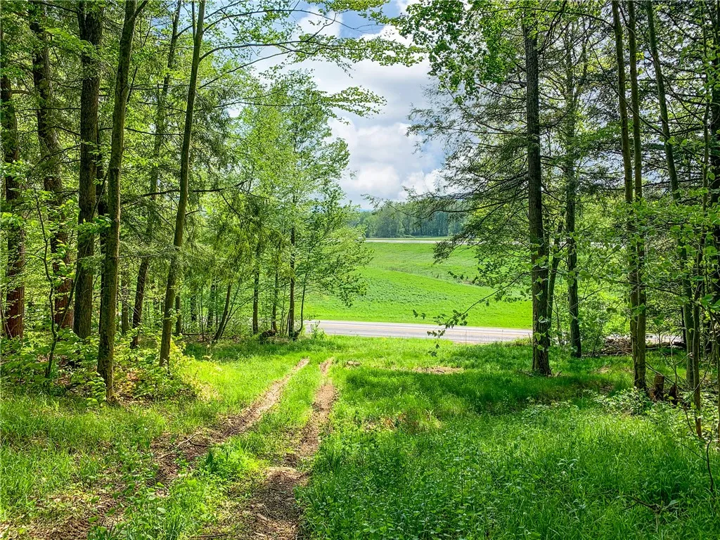 0 County Highway 44, Sidney, New York 13849, Sidney, New York 13849, ,Land,For Sale,0 County Highway 44, Sidney, New York 13849,0,R1536294