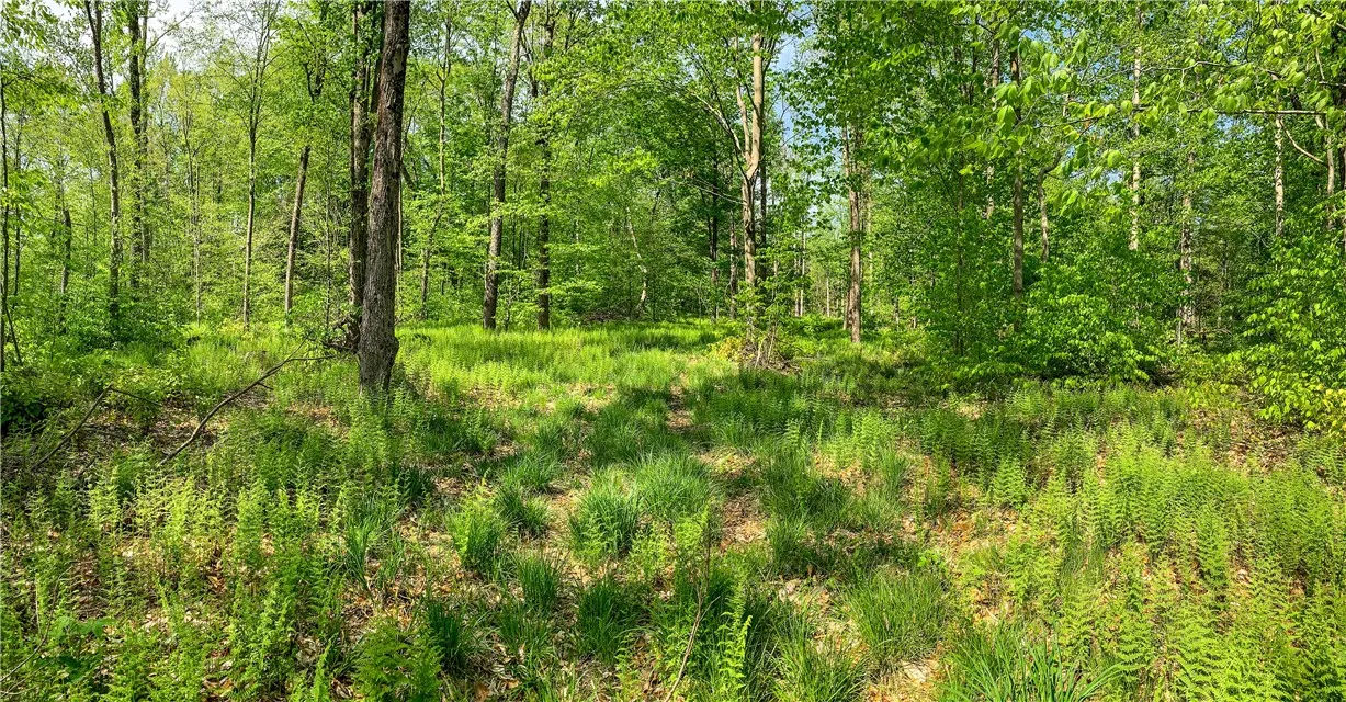 0 County Highway 44, Sidney, New York 13849, Sidney, New York 13849, ,Land,For Sale,0 County Highway 44, Sidney, New York 13849,0,R1536294