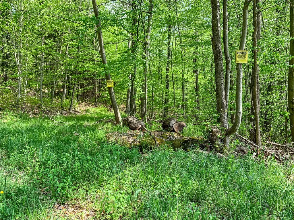 0 County Highway 44, Sidney, New York 13849, Sidney, New York 13849, ,Land,For Sale,0 County Highway 44, Sidney, New York 13849,0,R1536294