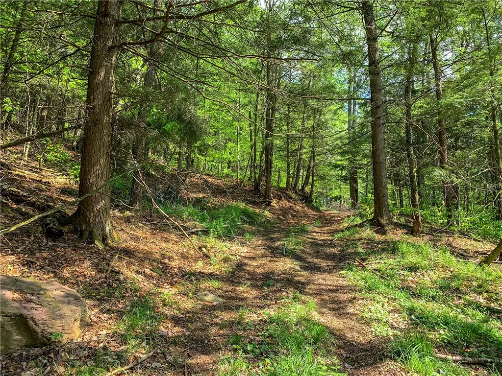 0 County Highway 44, Sidney, New York 13849, Sidney, New York 13849, ,Land,For Sale,0 County Highway 44, Sidney, New York 13849,0,R1536294