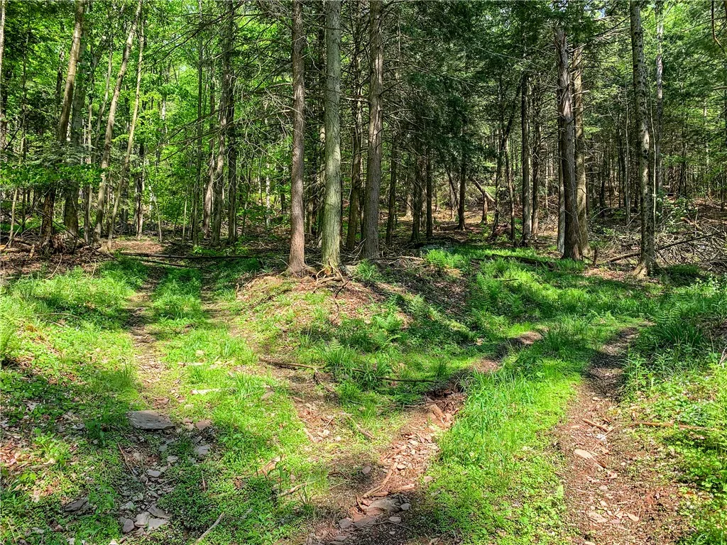 0 County Highway 44, Sidney, New York 13849, Sidney, New York 13849, ,Land,For Sale,0 County Highway 44, Sidney, New York 13849,0,R1536294