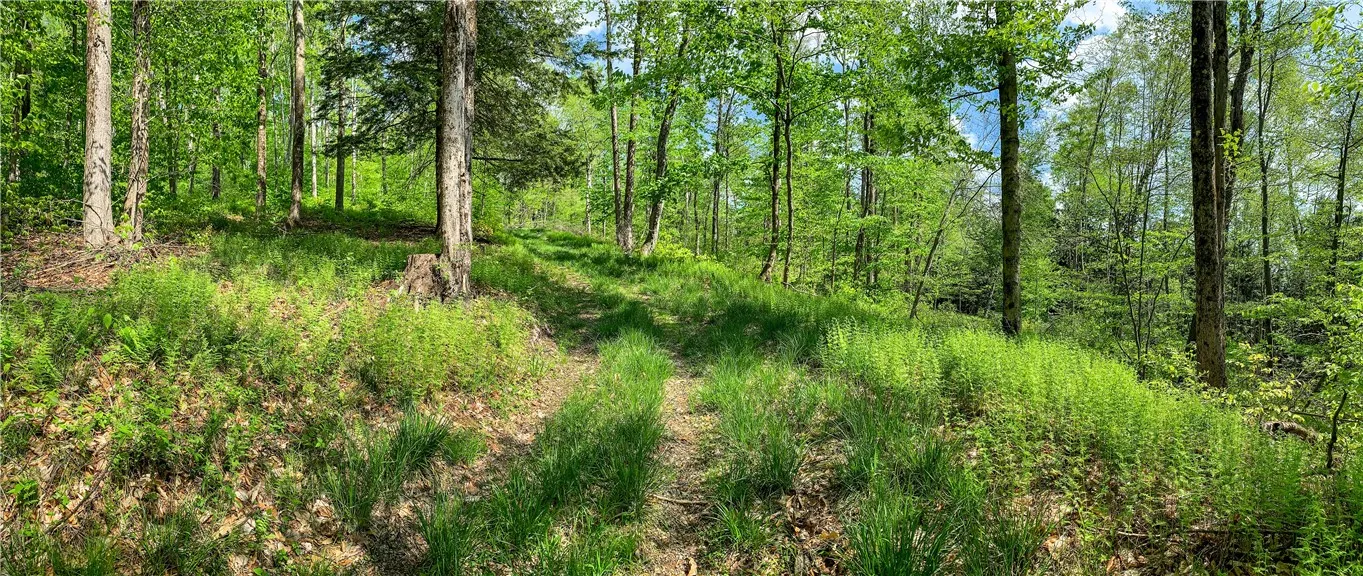 0 County Highway 44, Sidney, New York 13849, Sidney, New York 13849, ,Land,For Sale,0 County Highway 44, Sidney, New York 13849,0,R1536294