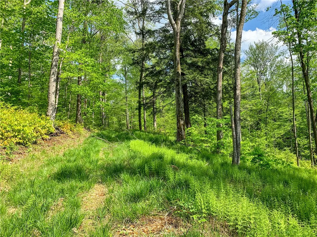 0 County Highway 44, Sidney, New York 13849, Sidney, New York 13849, ,Land,For Sale,0 County Highway 44, Sidney, New York 13849,0,R1536294