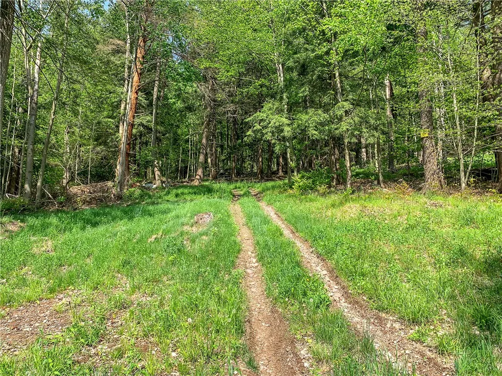 0 County Highway 44, Sidney, New York 13849, Sidney, New York 13849, ,Land,For Sale,0 County Highway 44, Sidney, New York 13849,0,R1536294