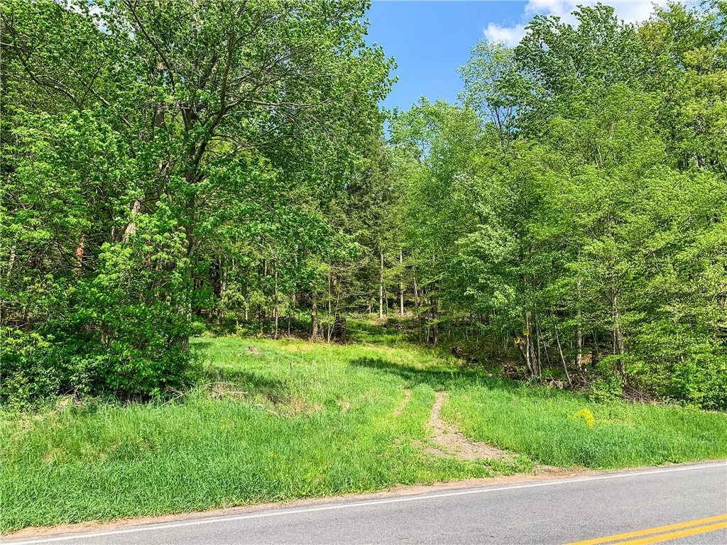 0 County Highway 44, Sidney, New York 13849, Sidney, New York 13849, ,Land,For Sale,0 County Highway 44, Sidney, New York 13849,0,R1536294