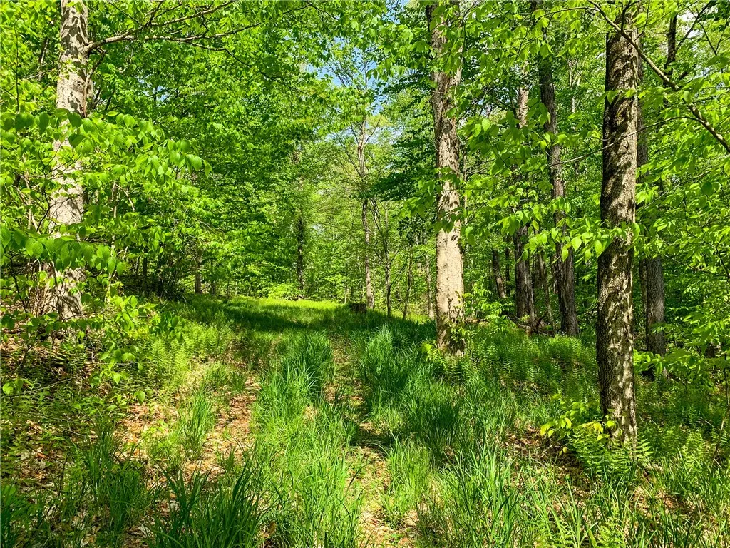 0 County Highway 44, Sidney, New York 13849, Sidney, New York 13849, ,Land,For Sale,0 County Highway 44, Sidney, New York 13849,0,R1536294