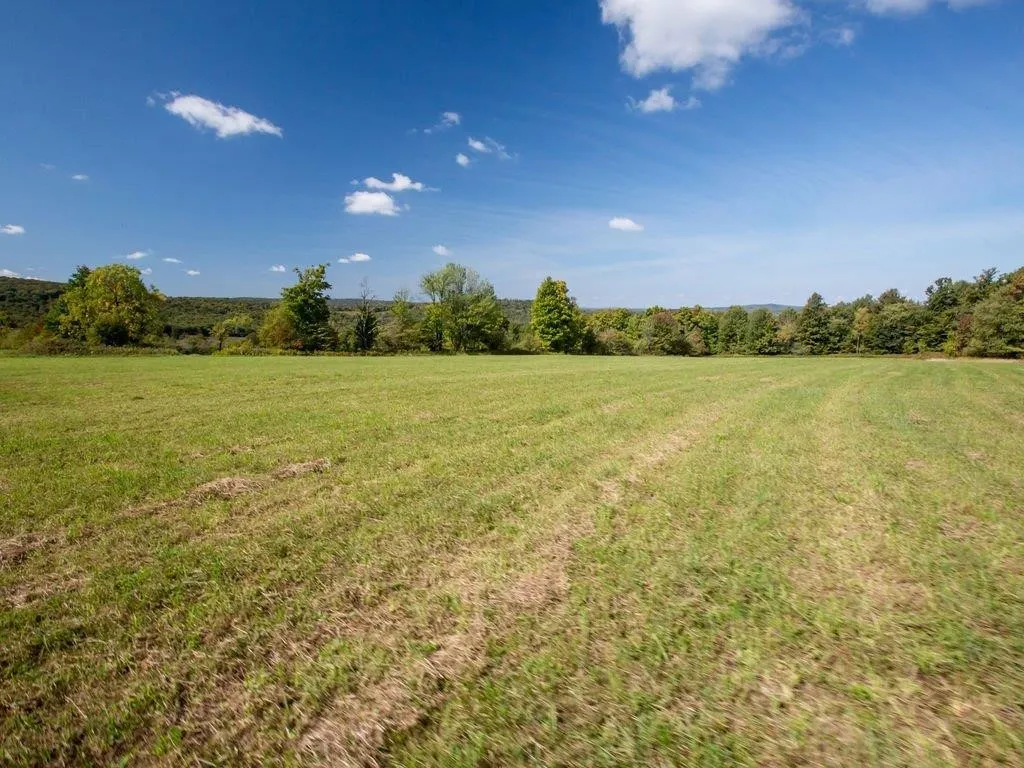 Lot 6 Warren Road, Meredith, New York 13753, Meredith, New York 13753, ,Land,For Sale,Lot 6 Warren Road, Meredith, New York 13753,0,R1537575