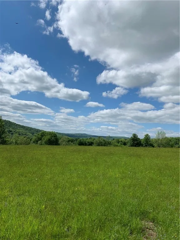Lot 6 Warren Road, Meredith, New York 13753, Meredith, New York 13753, ,Land,For Sale,Lot 6 Warren Road, Meredith, New York 13753,0,R1537575