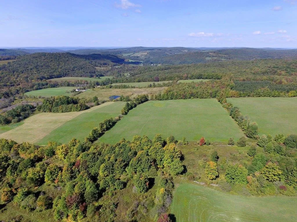 Lot 6 Warren Road, Meredith, New York 13753, Meredith, New York 13753, ,Land,For Sale,Lot 6 Warren Road, Meredith, New York 13753,0,R1537575