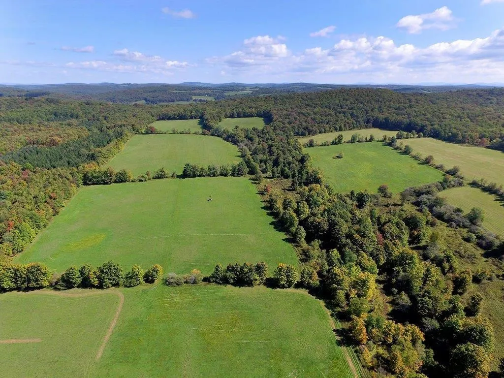 Lot 6 Warren Road, Meredith, New York 13753, Meredith, New York 13753, ,Land,For Sale,Lot 6 Warren Road, Meredith, New York 13753,0,R1537575