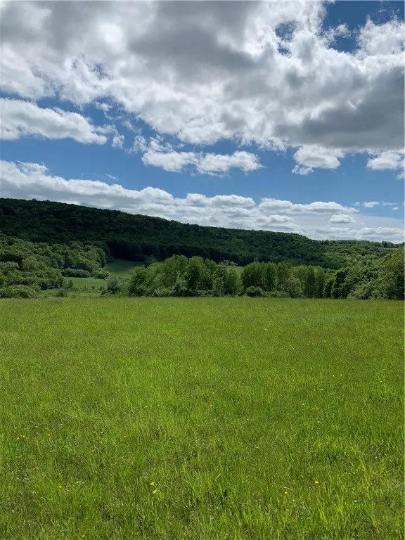 Lot 6 Warren Road, Meredith, New York 13753, Meredith, New York 13753, ,Land,For Sale,Lot 6 Warren Road, Meredith, New York 13753,0,R1537575