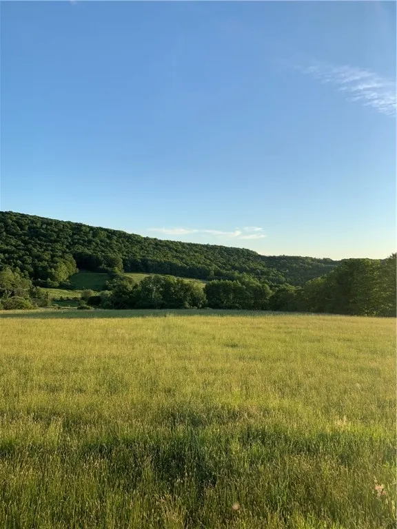 Lot 6 Warren Road, Meredith, New York 13753, Meredith, New York 13753, ,Land,For Sale,Lot 6 Warren Road, Meredith, New York 13753,0,R1537575