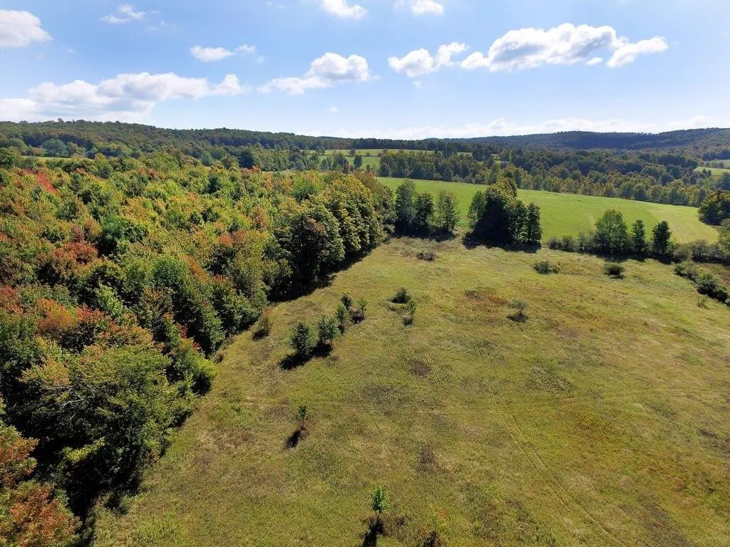 Lot 6 Warren Road, Meredith, New York 13753, Meredith, New York 13753, ,Land,For Sale,Lot 6 Warren Road, Meredith, New York 13753,0,R1537575