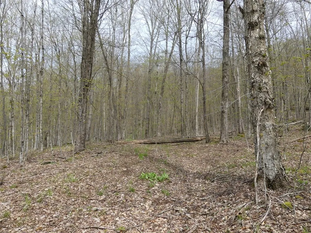 Lot 26 Timberland Drive, Andes, New York 13731, Andes, New York 13731, ,Land,For Sale,Lot 26 Timberland Drive, Andes, New York 13731,0,R1538835