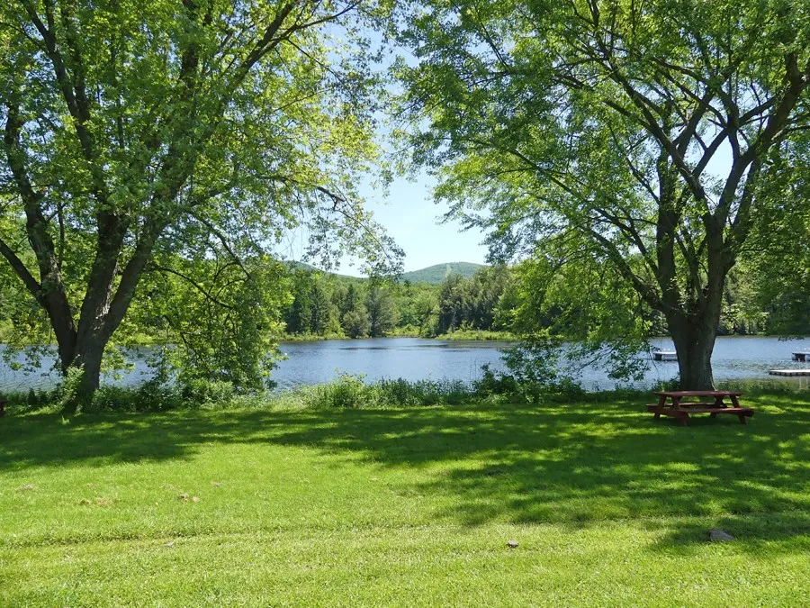 Lot 26 Timberland Drive, Andes, New York 13731, Andes, New York 13731, ,Land,For Sale,Lot 26 Timberland Drive, Andes, New York 13731,0,R1538835