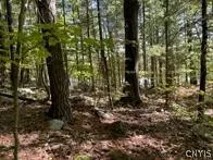 0 Big Island/lot 10, Hammond, New York 13664, Hammond, New York 13664, ,Land,For Sale,0 Big Island/lot 10, Hammond, New York 13664,0,S1540586
