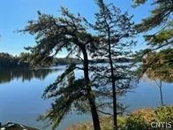 0 Big Island/lot 10, Hammond, New York 13664, Hammond, New York 13664, ,Land,For Sale,0 Big Island/lot 10, Hammond, New York 13664,0,S1540586