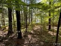 0 Big Island/lot 10, Hammond, New York 13664, Hammond, New York 13664, ,Land,For Sale,0 Big Island/lot 10, Hammond, New York 13664,0,S1540586