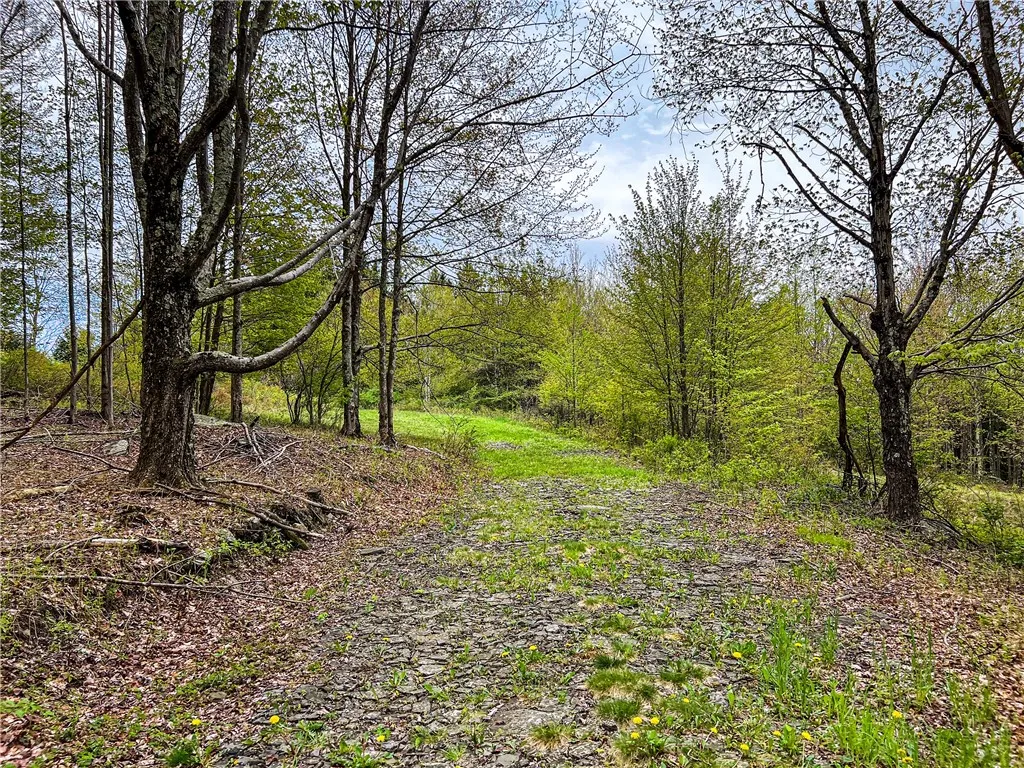 0 State Route 28, Andes, New York 13731, Andes, New York 13731, ,Land,For Sale,0 State Route 28, Andes, New York 13731,0,R1539126
