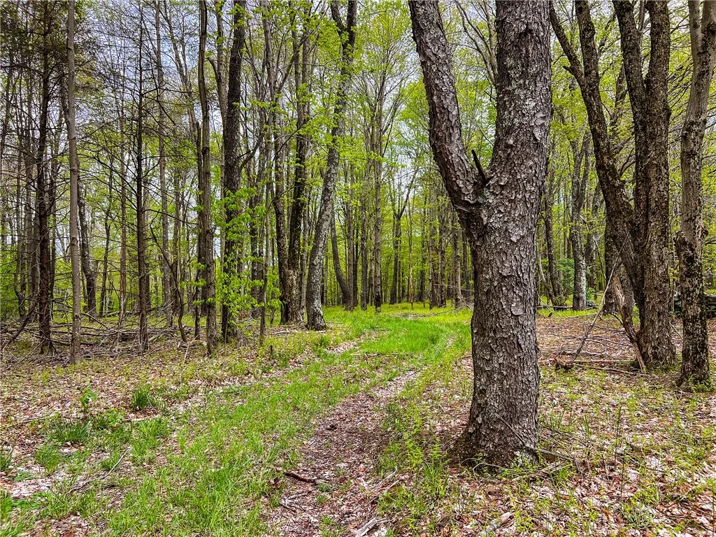 0 State Route 28, Andes, New York 13731, Andes, New York 13731, ,Land,For Sale,0 State Route 28, Andes, New York 13731,0,R1539126