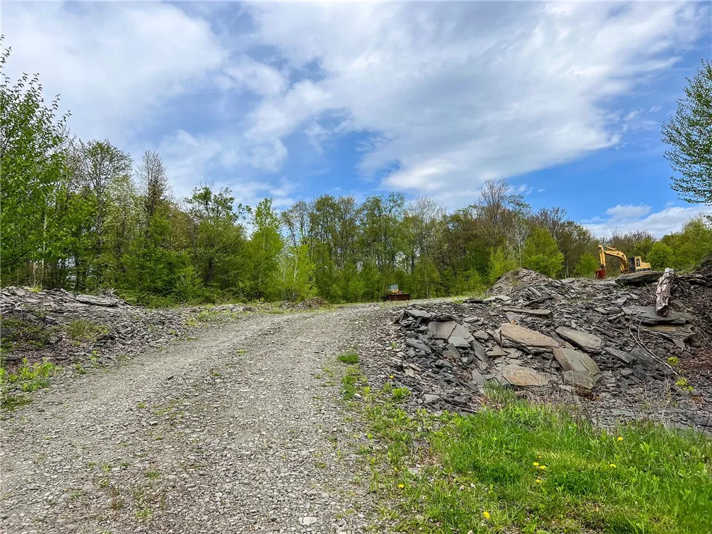 0 State Route 28, Andes, New York 13731, Andes, New York 13731, ,Land,For Sale,0 State Route 28, Andes, New York 13731,0,R1539126