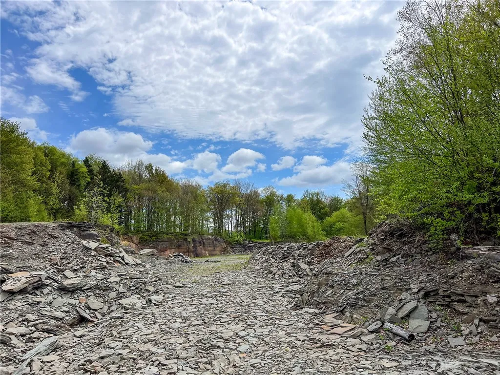 0 State Route 28, Andes, New York 13731, Andes, New York 13731, ,Land,For Sale,0 State Route 28, Andes, New York 13731,0,R1539126