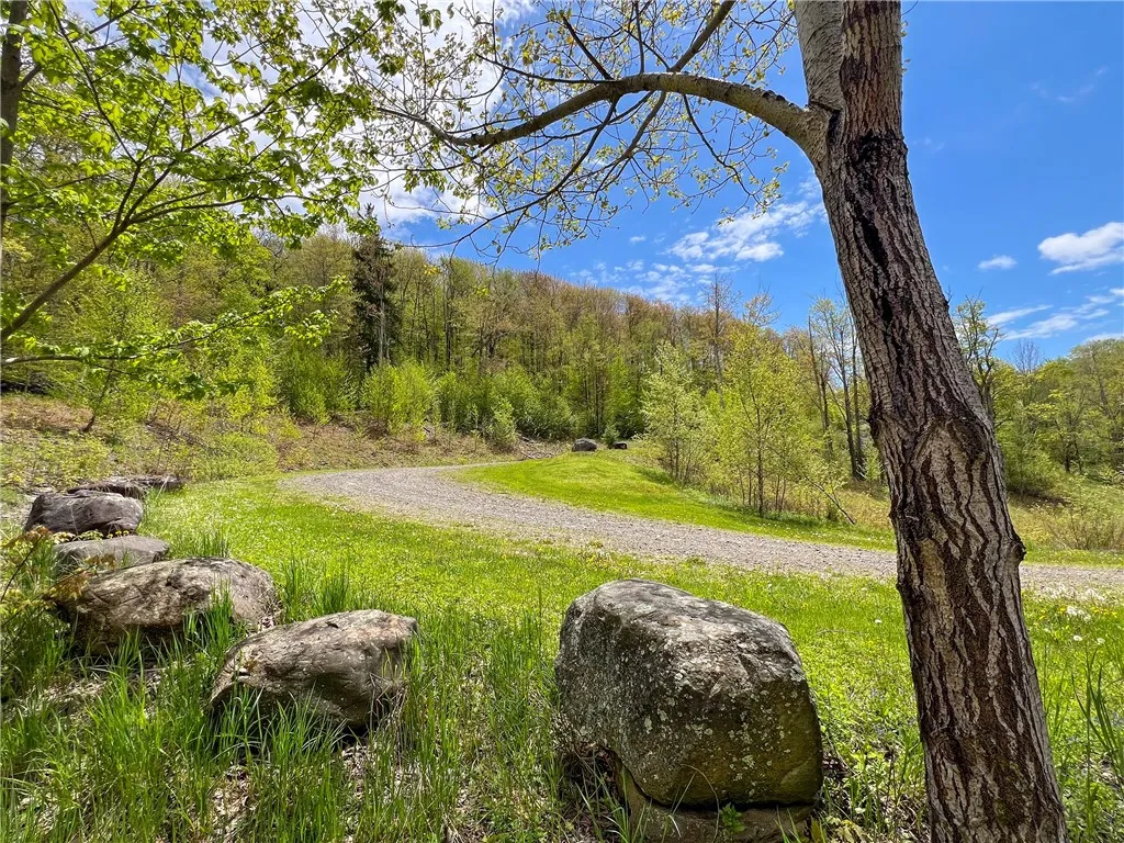 0 State Route 28, Andes, New York 13731, Andes, New York 13731, ,Land,For Sale,0 State Route 28, Andes, New York 13731,0,R1539126