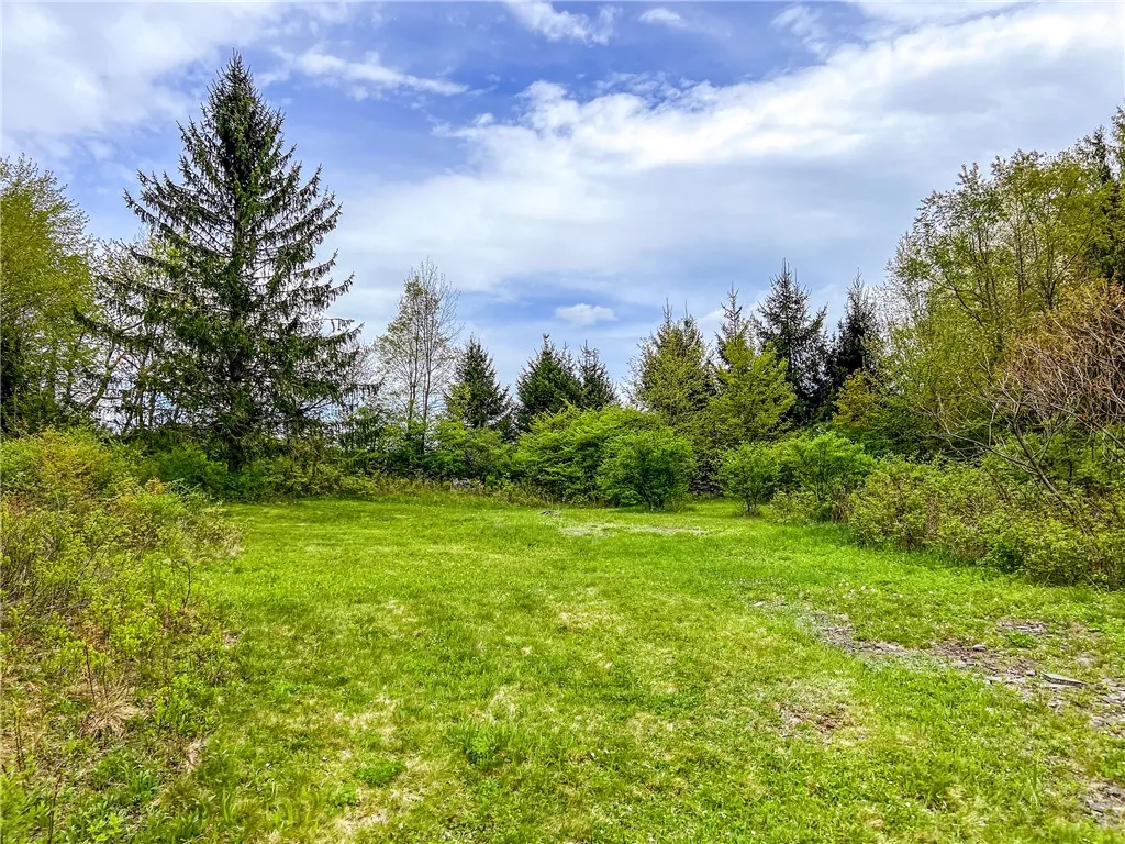 0 State Route 28, Andes, New York 13731, Andes, New York 13731, ,Land,For Sale,0 State Route 28, Andes, New York 13731,0,R1539126