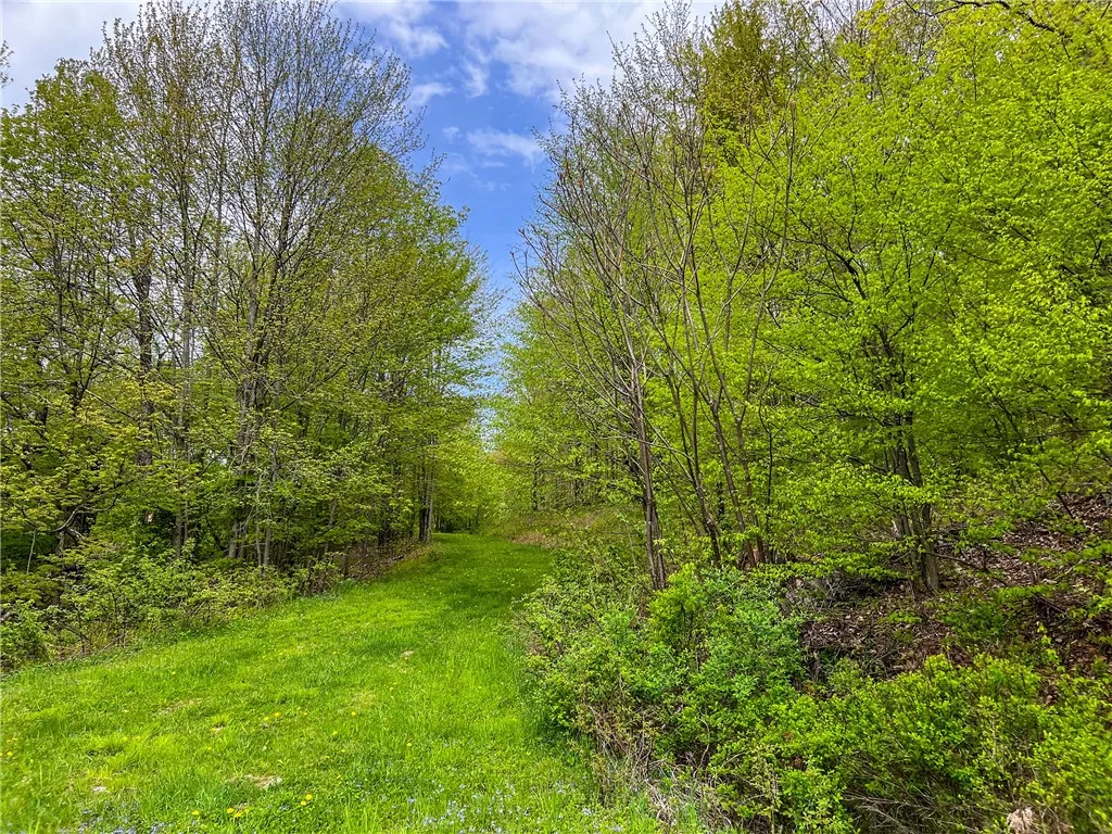 0 State Route 28, Andes, New York 13731, Andes, New York 13731, ,Land,For Sale,0 State Route 28, Andes, New York 13731,0,R1539126