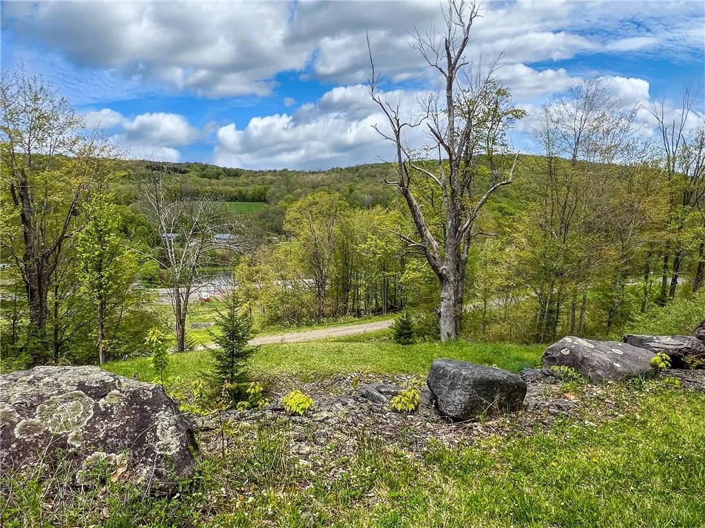 0 State Route 28, Andes, New York 13731, Andes, New York 13731, ,Land,For Sale,0 State Route 28, Andes, New York 13731,0,R1539126