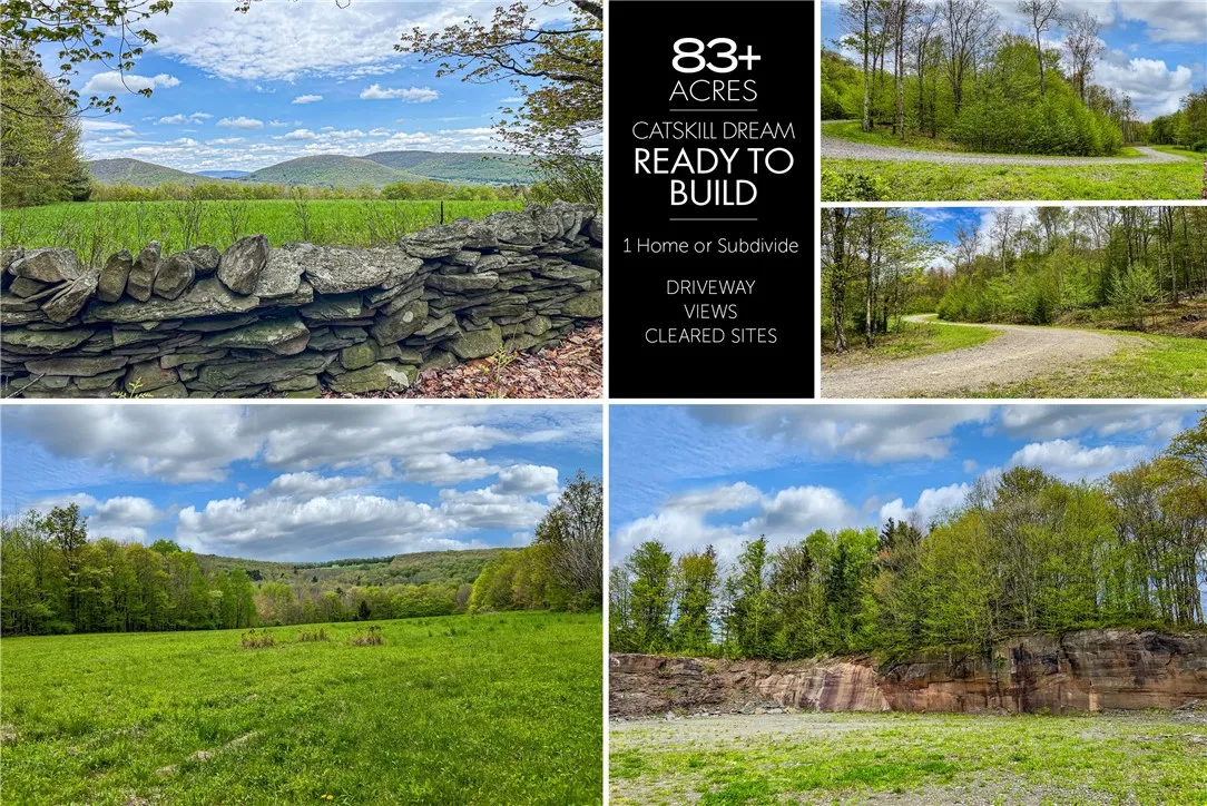 0 State Route 28, Andes, New York 13731, Andes, New York 13731, ,Land,For Sale,0 State Route 28, Andes, New York 13731,0,R1539126