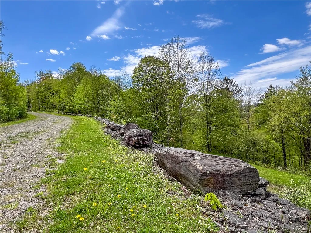 0 State Route 28, Andes, New York 13731, Andes, New York 13731, ,Land,For Sale,0 State Route 28, Andes, New York 13731,0,R1539126